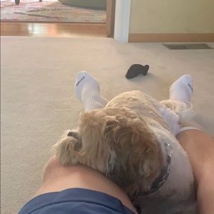 Meet your Posher, Blake